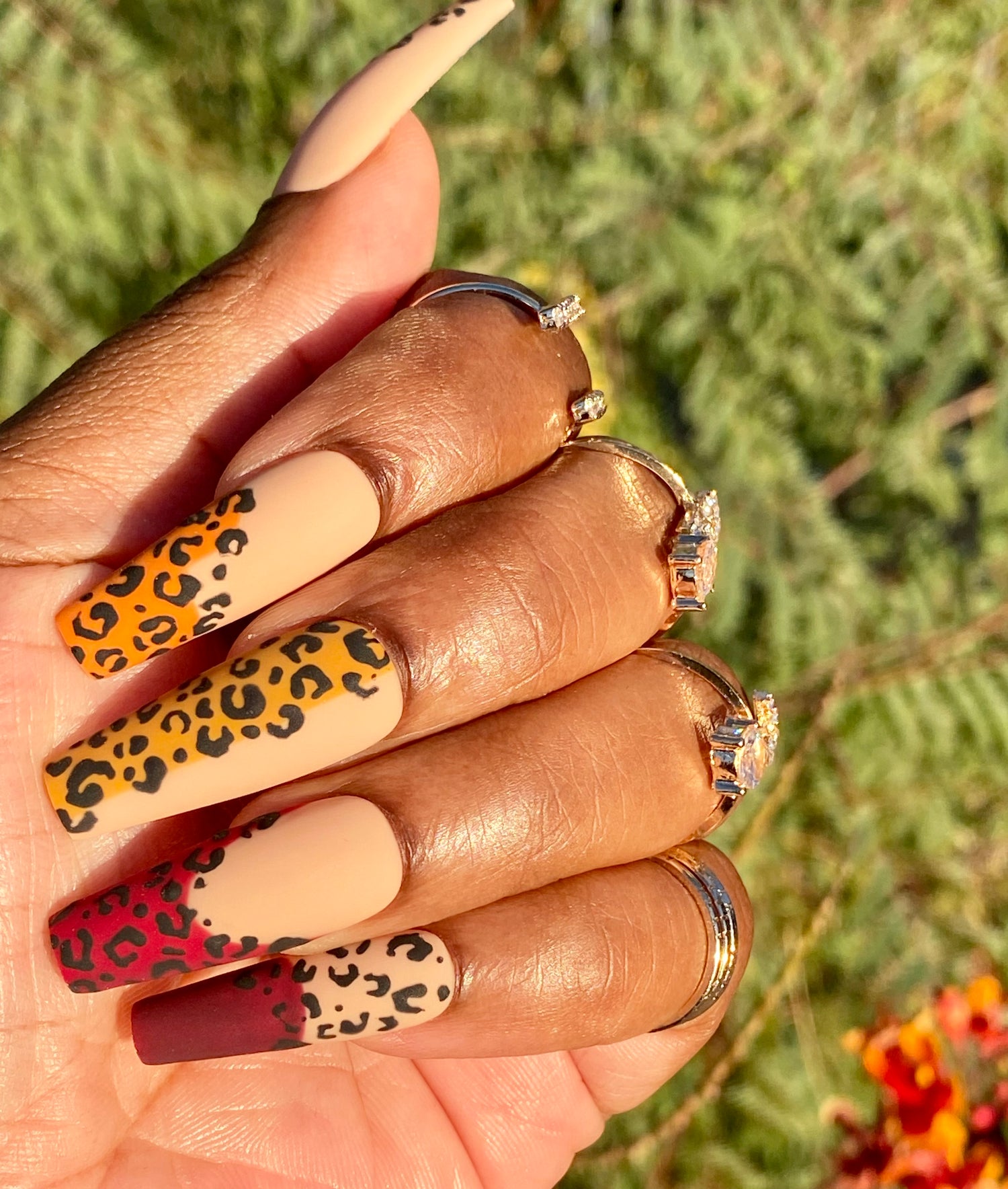 On The Prowl - Embellished Tips